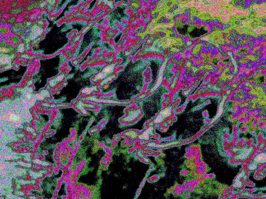 Glitch Photography | Thomas Bjave Price | Day 370 P1420376 | Fascination