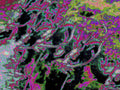 Glitch Photography | Thomas Bjave Price | Day 370 P1420376 | Fascination