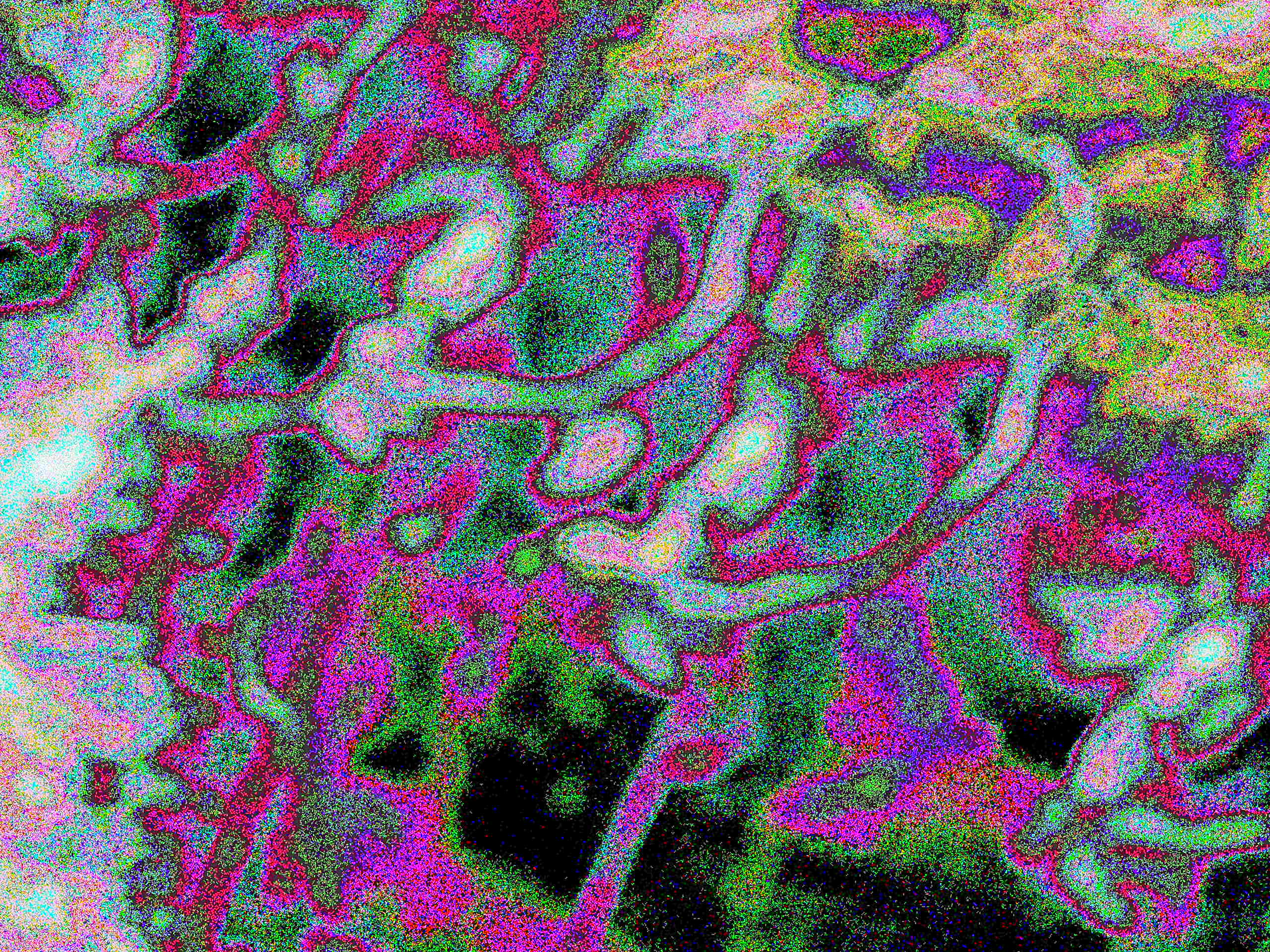 Glitch Photography | Thomas Bjave Price | Day 371 P1420379 | Severance of Reality