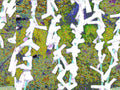 Glitch Photography | Thomas Bjave Price | Day 372 P1420381 | Wishes Three