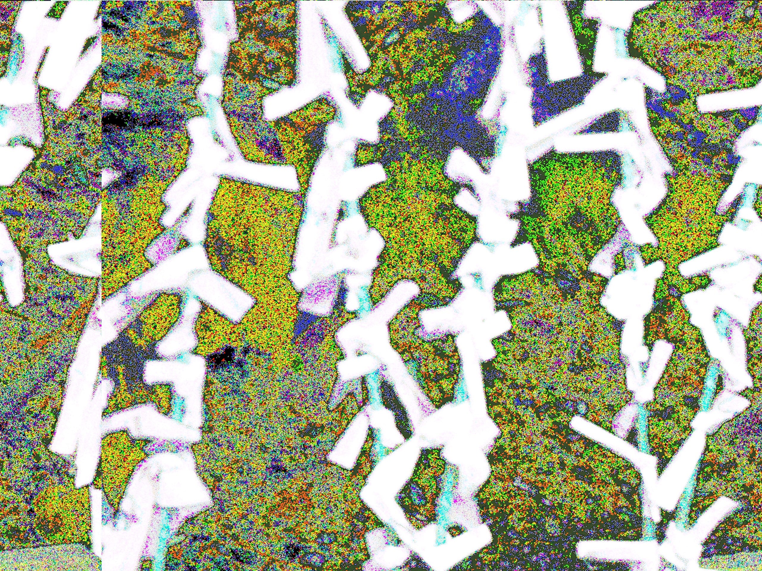 Glitch Photography | Thomas Bjave Price | Day 372 P1420381 | Wishes Three