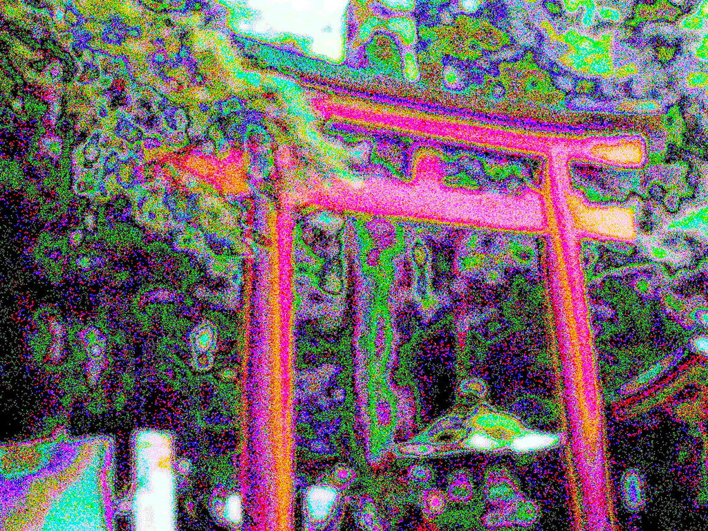Glitch Photography | Thomas Bjave Price | Day 374 P1420386 | Bird Perch