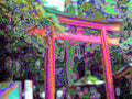 Glitch Photography | Thomas Bjave Price | Day 374 P1420386 | Bird Perch