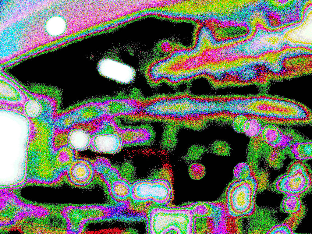 Glitch Photography | Thomas Bjave Price | Day 380 P1420433 | Carousel of Sight