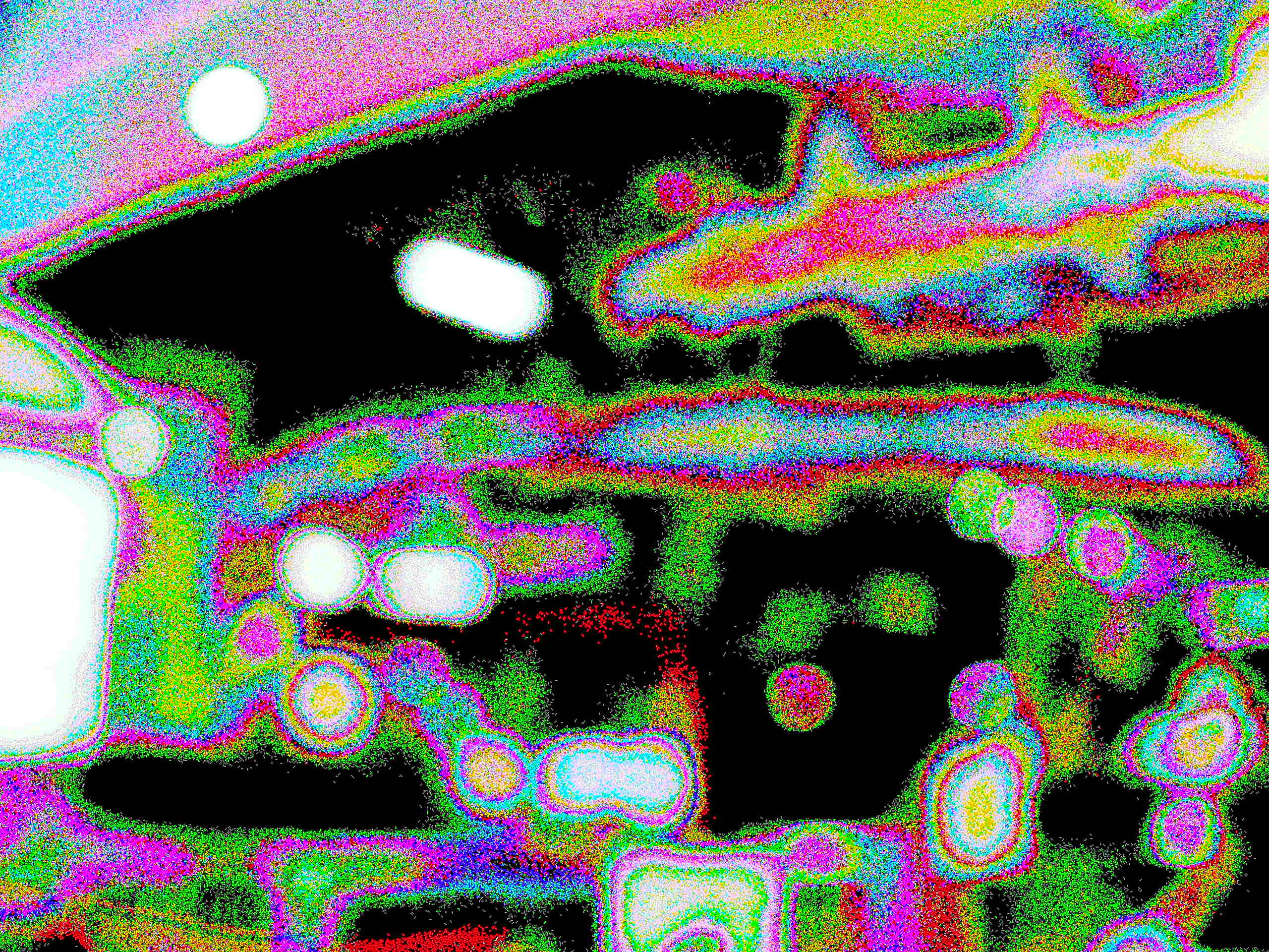 Glitch Photography | Thomas Bjave Price | Day 380 P1420433 | Carousel of Sight