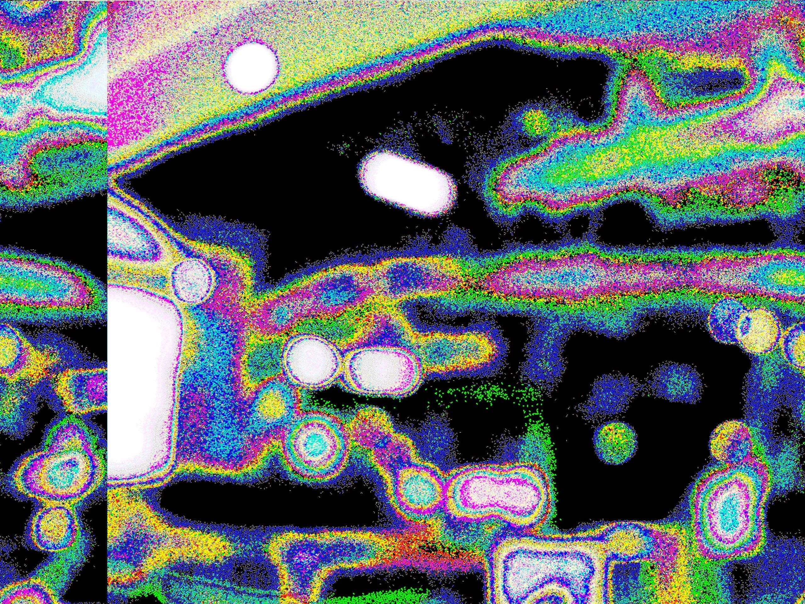 Glitch Photography | Thomas Bjave Price | Day 381 P1420433TIF | Fascinating Marvel