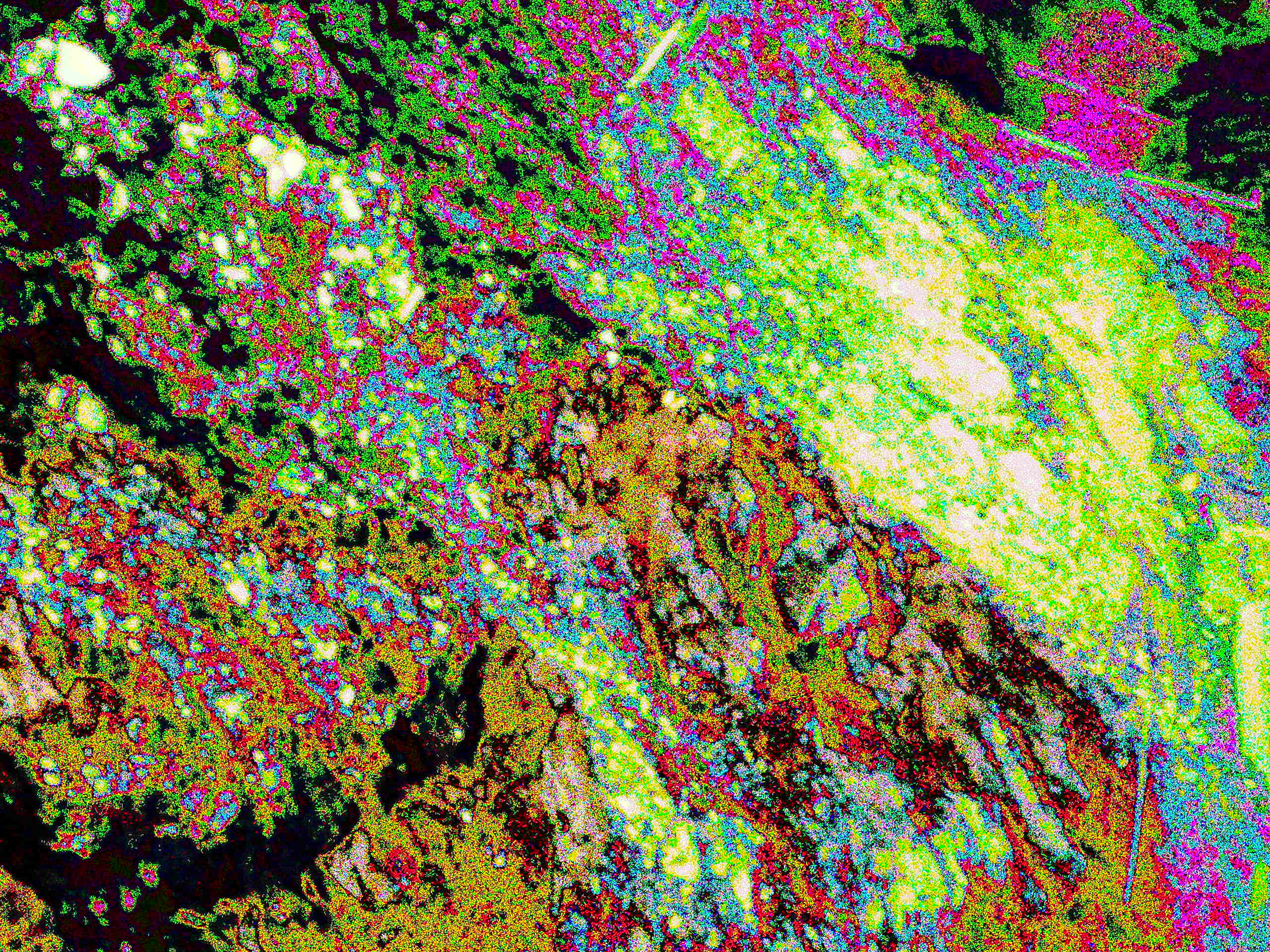 Glitch Photography | Thomas Bjave Price | Day 385 P1420451  | Worldly Posessions