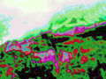 Glitch Photography | Thomas Bjave Price | Day 386 P1420456  | Grounding Digitally