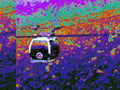 Glitch Photography | Thomas Bjave Price | Day 388 P1420465  | 40,000 ft Chaos