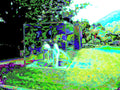 Glitch Photography | Thomas Bjave Price | Day 389 P1420496  | Gossamer Aura