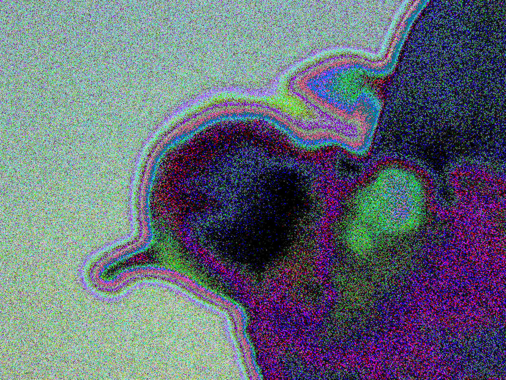 Glitch Photography | Thomas Bjave Price | Day 397 P1440116 | Companion