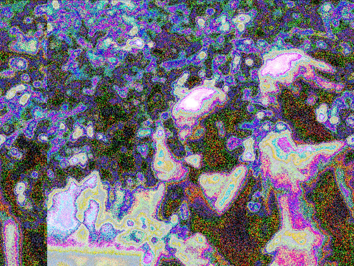Glitch Photography | Thomas Bjave Price | Day 400 P1410783TIF | Red Bird of Suzuki | 赤い鳥文学碑