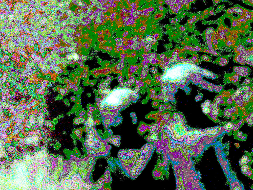 Glitch Photography | Thomas Bjave Price | Day 401 P1410783 | CliffsNotes in Form