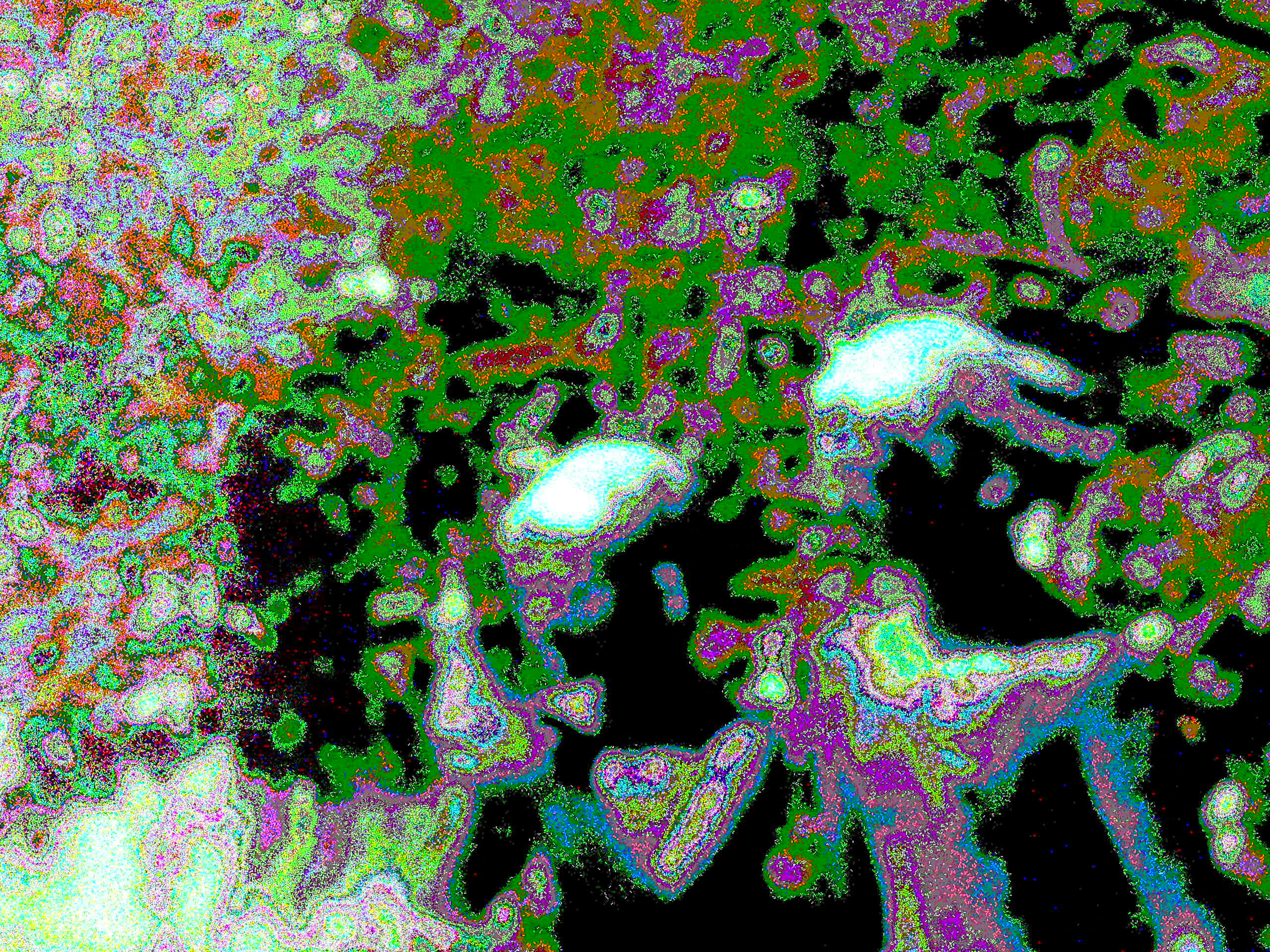 Glitch Photography | Thomas Bjave Price | Day 401 P1410783 | CliffsNotes in Form