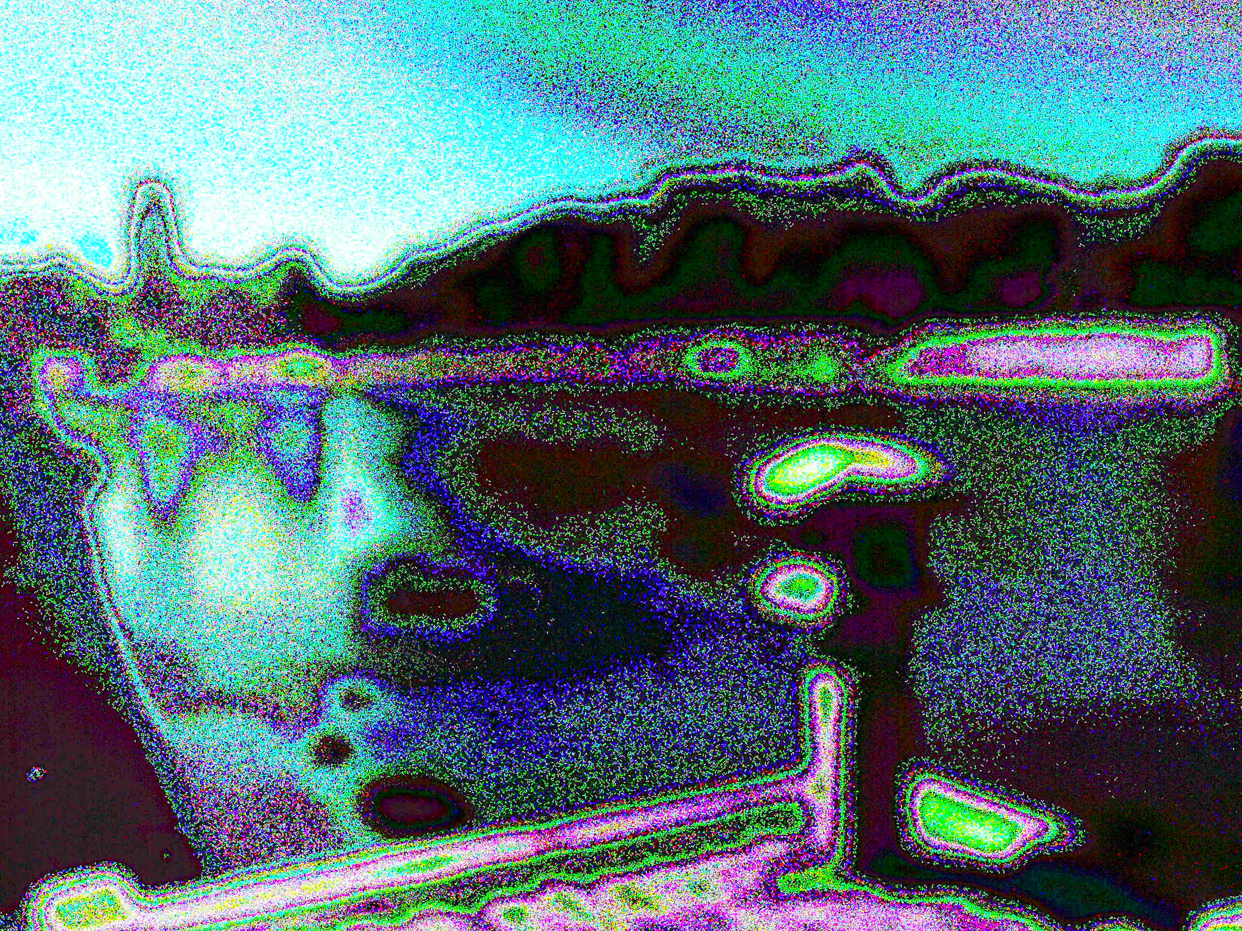 Glitch Photography | Thomas Bjave Price | Day 405 P1410804 | Tranquil Spirit