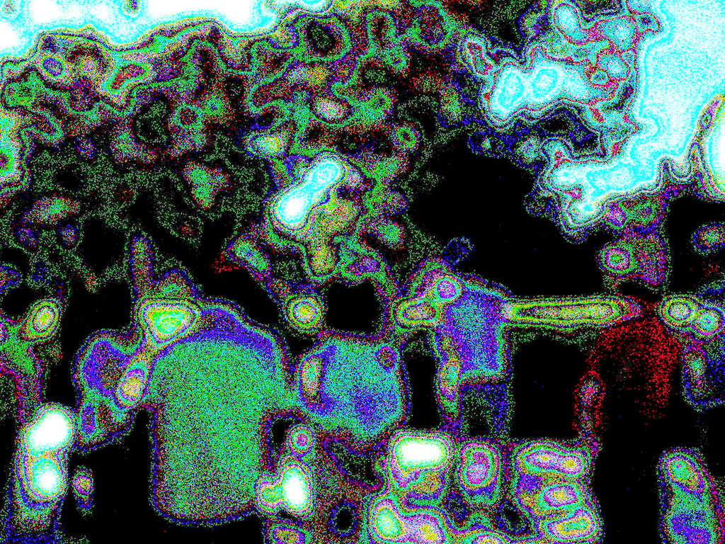 Glitch Photography | Thomas Bjave Price | Day 410 P1410814 | Queue Together