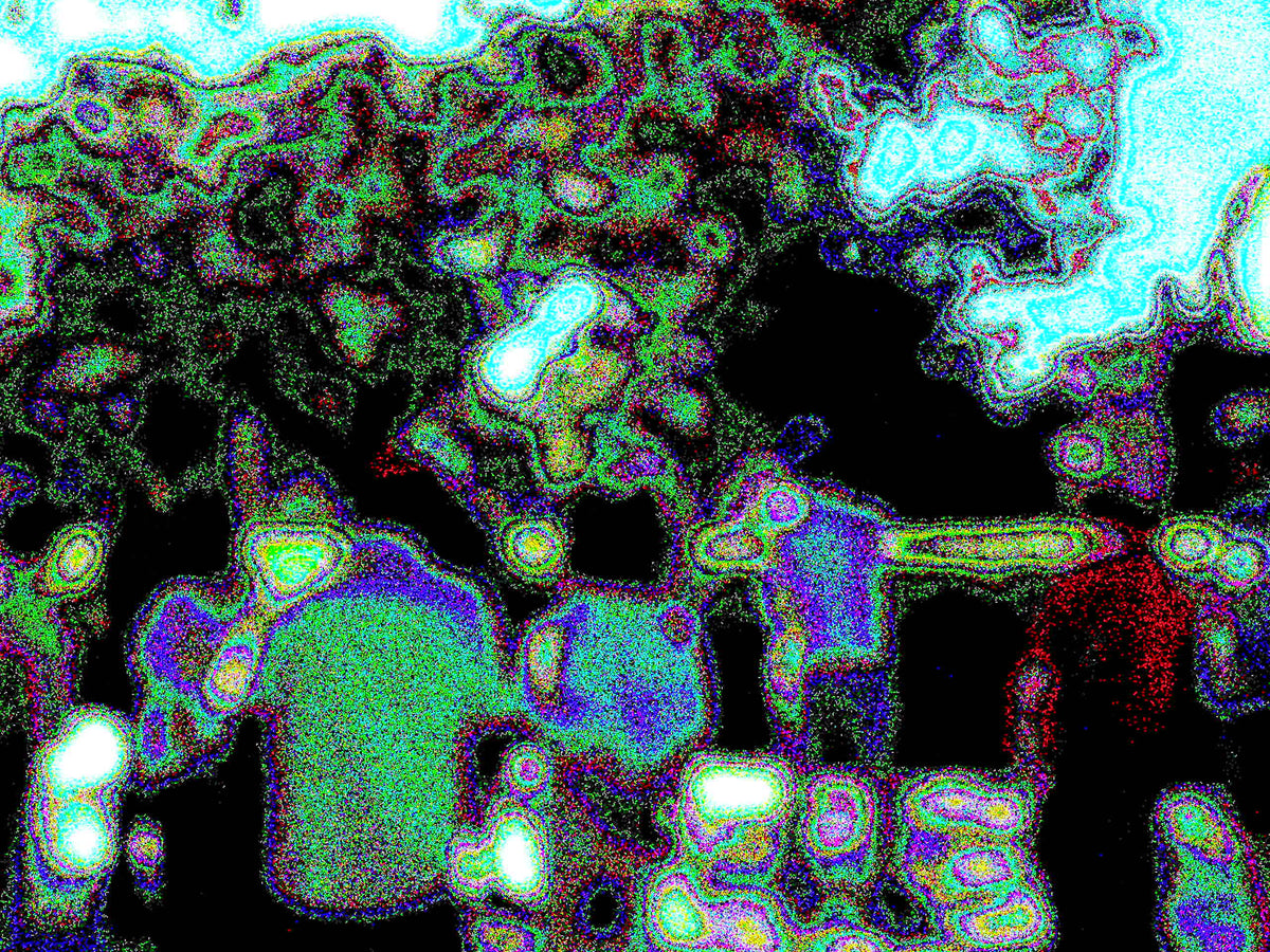 Glitch Photography | Thomas Bjave Price | Day 410 P1410814 | Queue Together