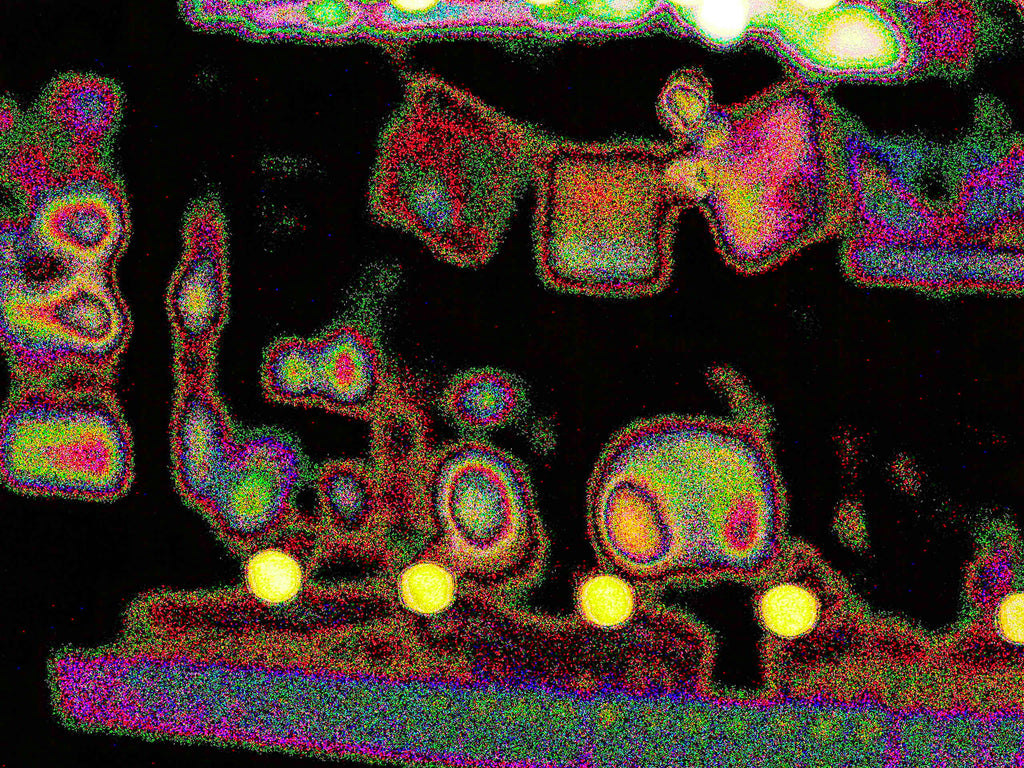 Glitch Photography | Thomas Bjave Price |  Day 426 P1410932 | Gift Shop