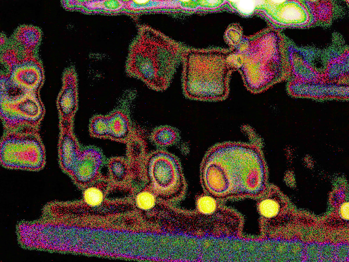Glitch Photography | Thomas Bjave Price |  Day 426 P1410932 | Gift Shop