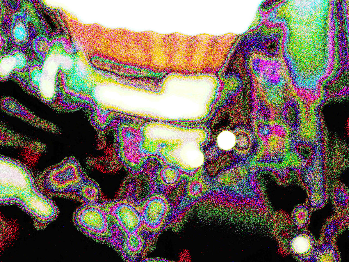Glitch Photography | Thomas Bjave Price | Day 427 P1410933 | Gifuto Shoppu ギフトショップ