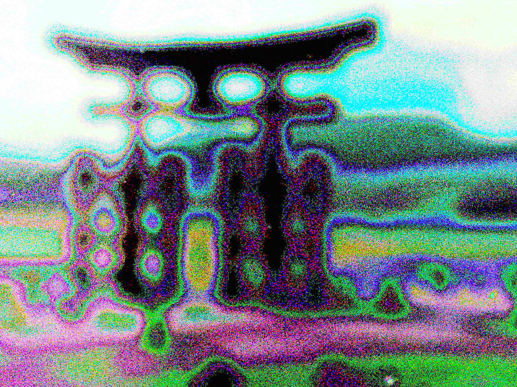 Glitch Photography | Thomas Bjave Price | Day 433 P1410963 | Otorii Kami