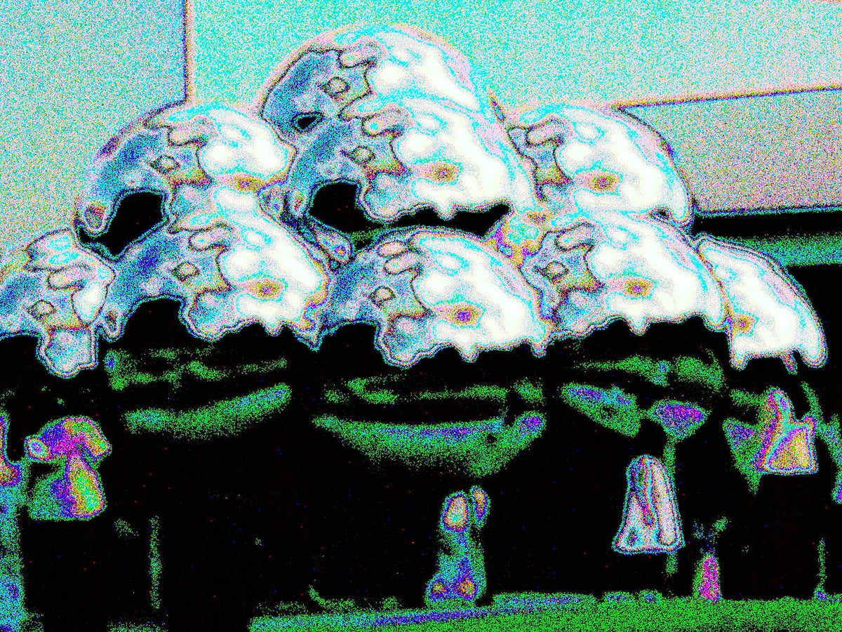 Glitch Photography | Thomas Bjave Price | Day 455 P1410717 | Reflection | Maru Kanazawa Japan