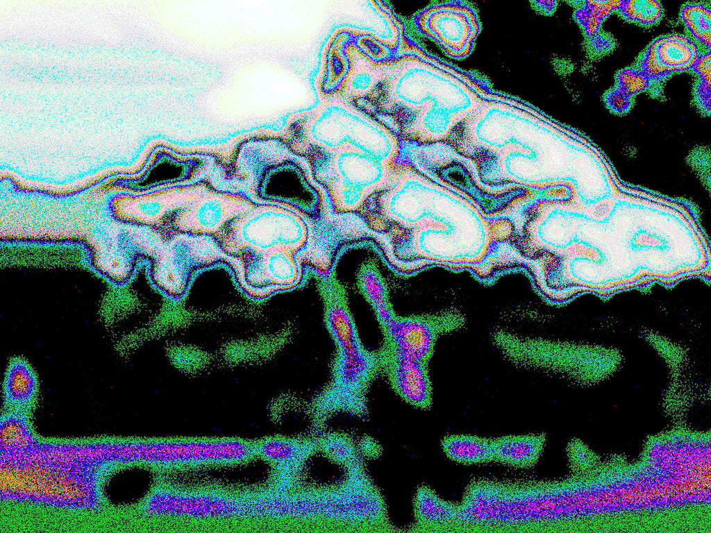 Glitch Photography | Thomas Bjave Price | Day 456 P1410718 | Glamour | Maru Kanazawa Japan