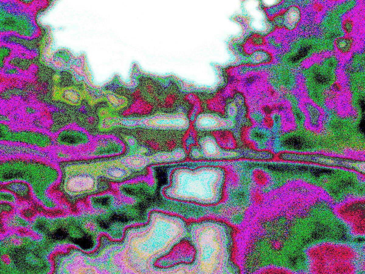 Glitch Photography | Thomas Bjave Price | 457 P1410726 Walk On World Glitch Camera Kanazawa Hanami-Bashi Flower Viewing Bridge Art