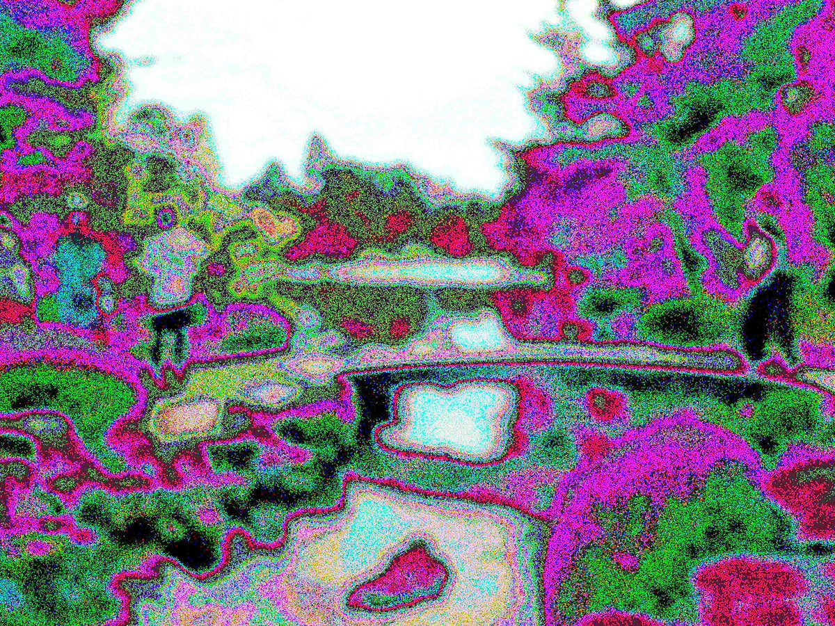 Glitch Photography | Thomas Bjave Price | Day 458 P1410727 | In Tune | Kanazawa Hanami-Bashi Flower Viewing Bridge