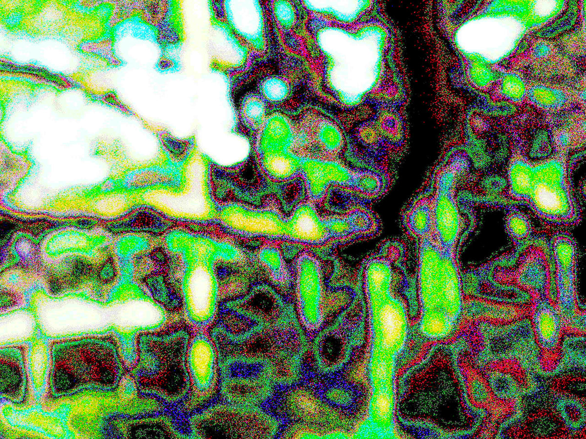 Glitch Photography | Thomas Bjave Price | Day 461 P1410736 | Walk With Me | Kanazawa 21st Century Museum of Art