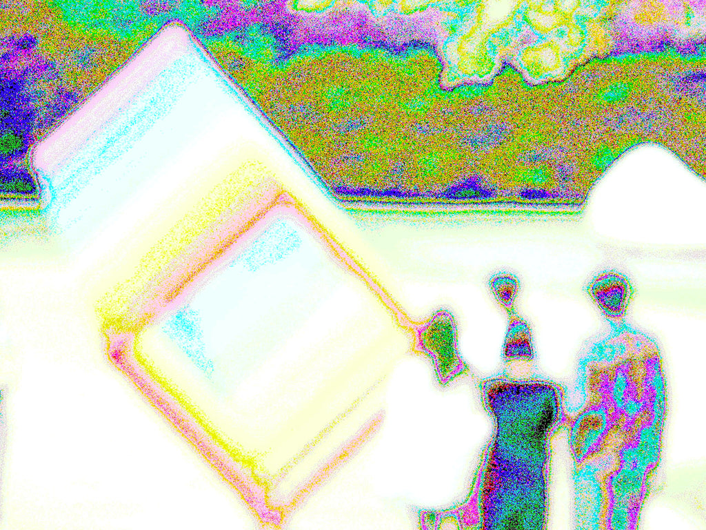 Glitch Photography | Thomas Bjave Price | Day 390 P1420496  | Multidimensional