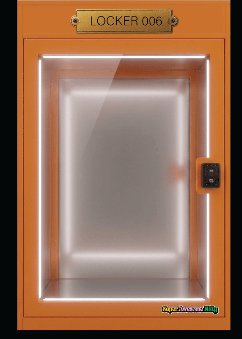 Locker 006 Orange Gacha Art Station